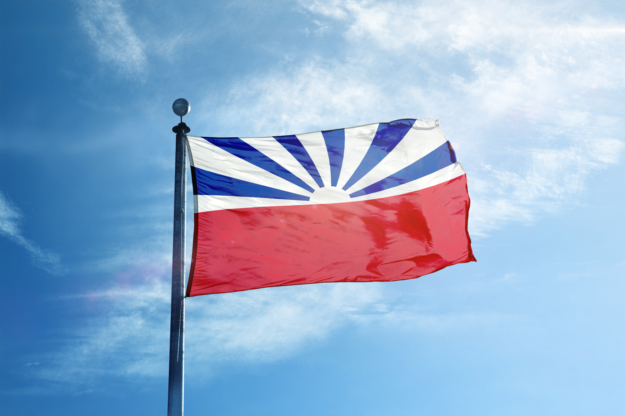 不符合憲法的青天白日滿地紅旗_最後一張硬是放上自己設計的國徽XD